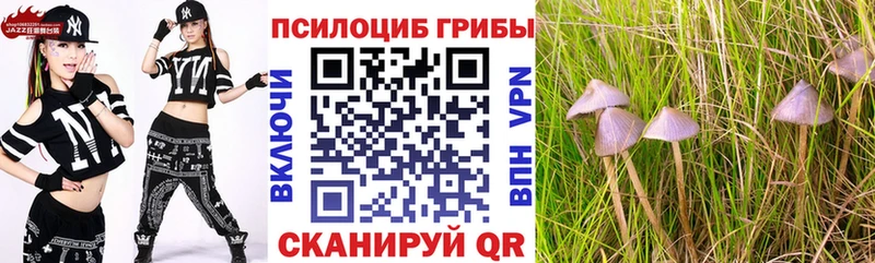 hydra рабочий сайт  магазин продажи наркотиков  Каргат  Псилоцибиновые грибы MAGIC MUSHROOMS 